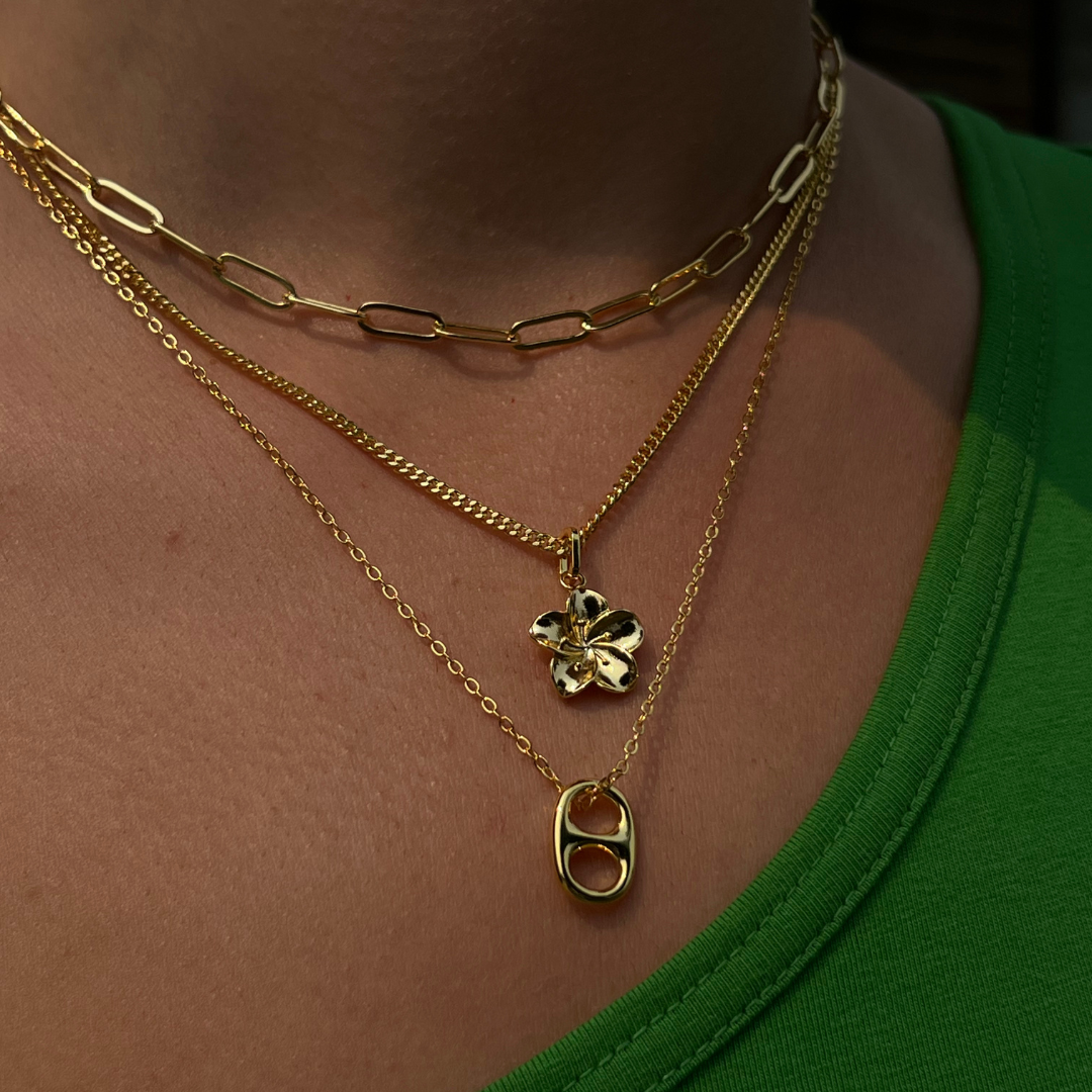 Ιβίσκος Κολιέ 